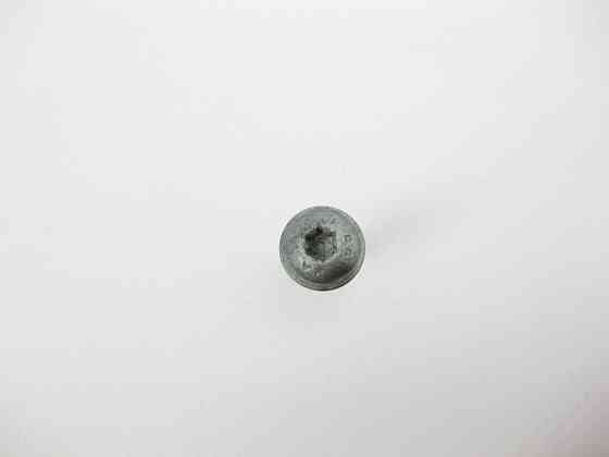 Mercedes-Benz  A0029842929 Болт із головкою T25 торкс M5 x 18 mm Одеса