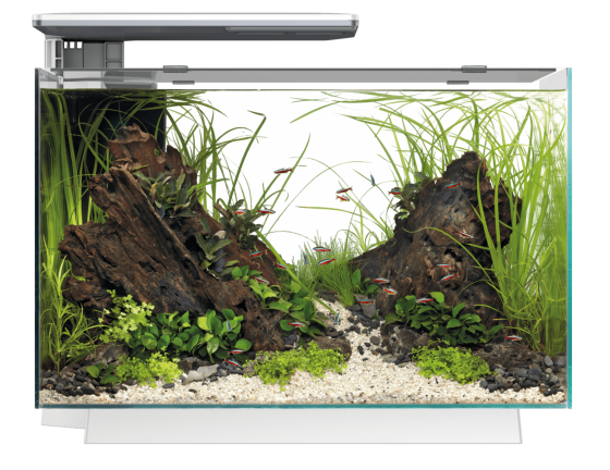 Акваріумний набір SuperFish Quadro 70 Pro White (A4052220) Київ