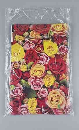 Пакеты с вырубной ручкой (20*30) ВД 