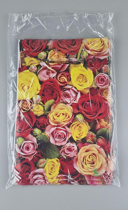 Пакеты с вырубной ручкой (20*30) ВД 