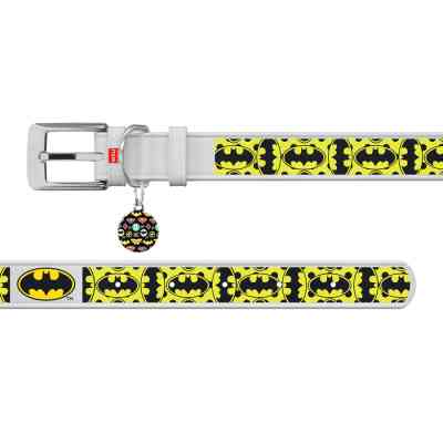 Нашийник для тварин WAUDOG Design з QR-паспортом "Бетмен 4" Ш 25 мм Д 38-49 см білий (0025-1006-15) Вінниця