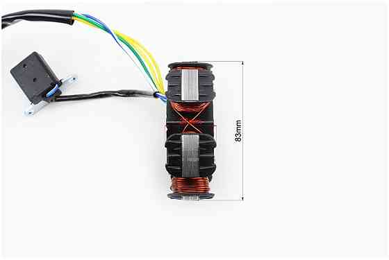 Статор магнето (генератора) (6 котушок роз'єм "мама 4"), тип 1 Київ