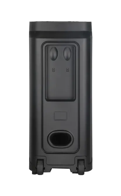 Портативна акустична колонка B208-09 80Вт 2x8" TWS/FM/USB/TF/BT/LED з 2 мікрофонами Одеса - фото 4