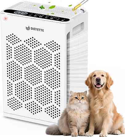 Очищувач повітря DAYETTE AP304 wifi (товар вживаний) Луцк
