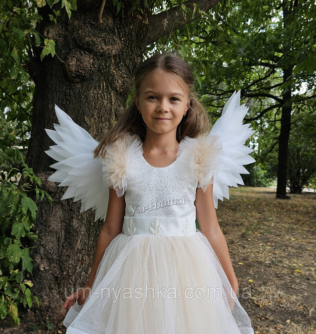 Крила Ангела середні підняті Кривий Ріг - фото 3