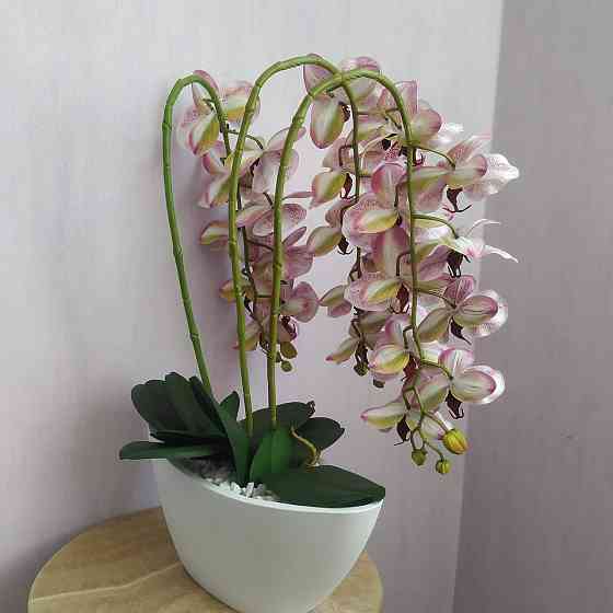 Штучна латексна орхідея VIP в керамічному кашпо на три білі гілки з бордовим градієнтом. Дніпро