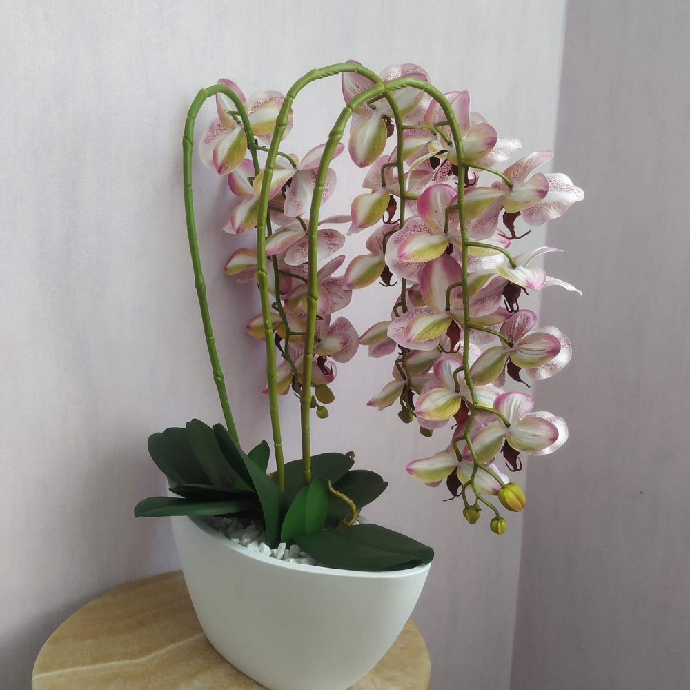 Штучна латексна орхідея VIP в керамічному кашпо на три білі гілки з бордовим градієнтом. Дніпро - фото 3