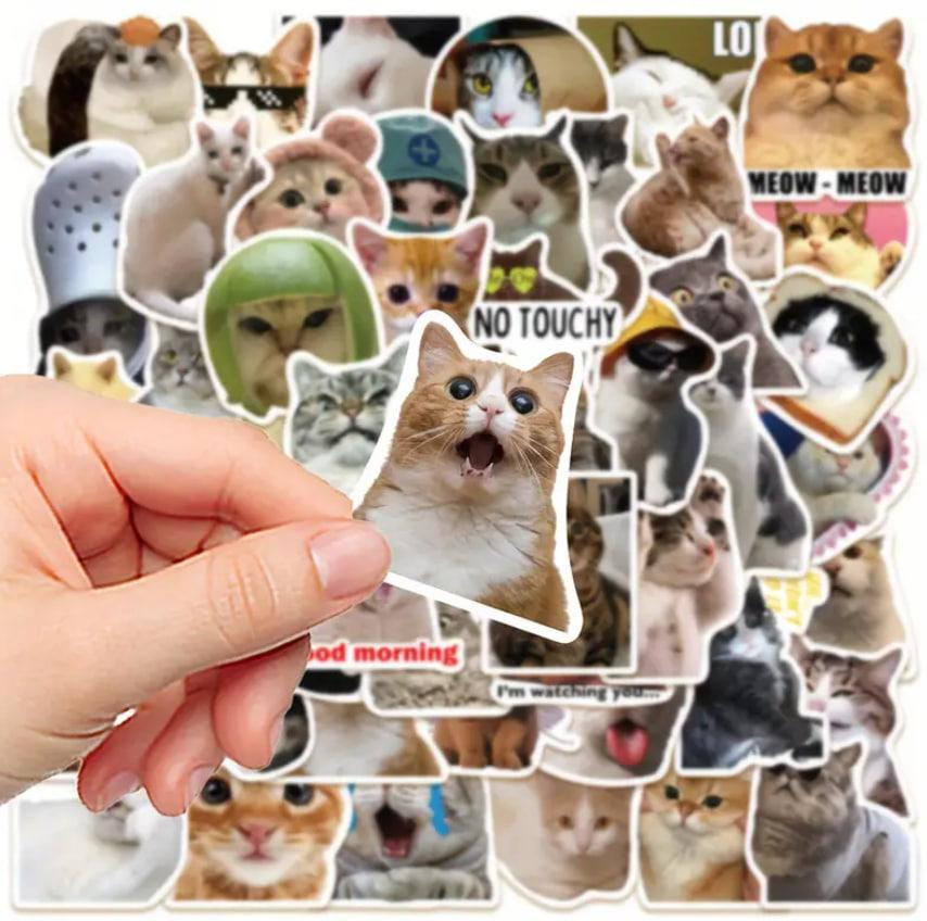 Наклейки стікери коти. Водонепроникні вінілові естетичні наклейки з котами для пляшки води, комп'юте Київ - фото 3