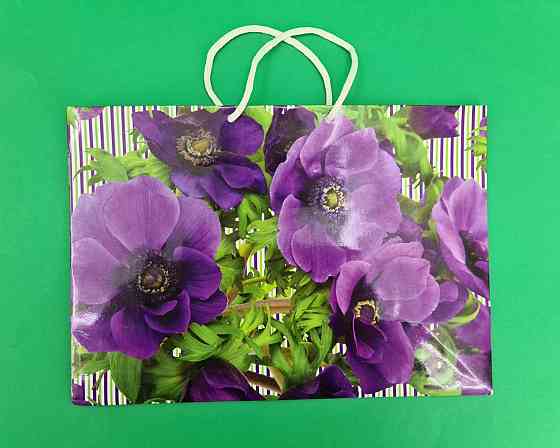 Паперовий великий горизонтальний пакет 36/22/10 (артBG-110) (12 шт.) Харків