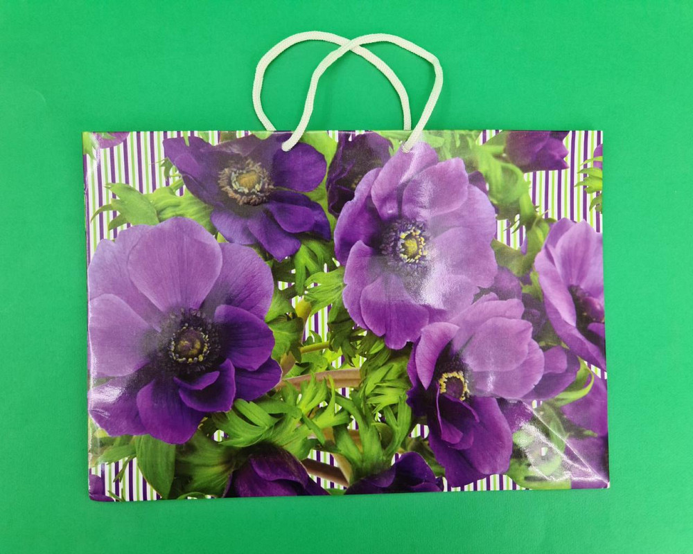 Паперовий великий горизонтальний пакет 36/22/10 (артBG-110) (12 шт.) Харків - фото 2