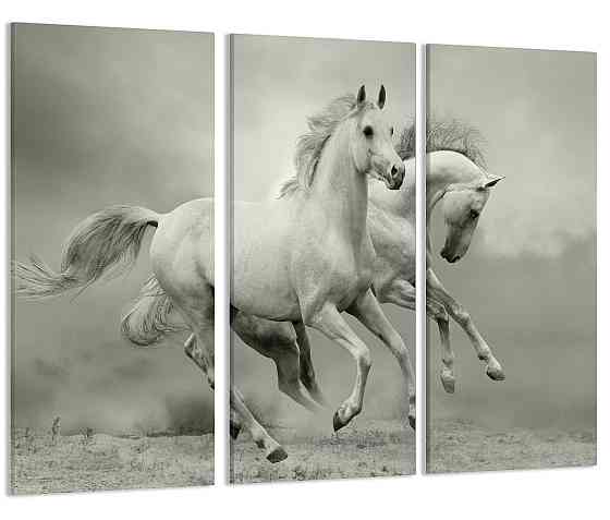 Модульна картина Білі Коні Art-125_XXL Київ
