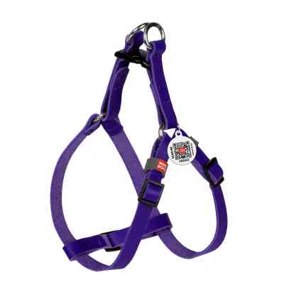 Шлея для котів WAUDOG Classic з QR паспортом XS Ш 10 мм В=С 28-40 см фіолетова (60109) Вінниця