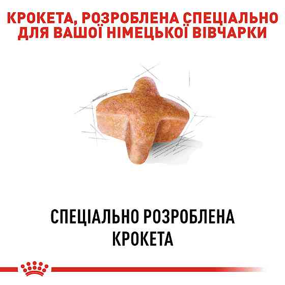 Корм для дорослих собак породи Німецька Вівчарка ROYAL CANIN GERMAN SHEPHERD ADULT 11.0 кг Київ