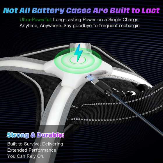 Б/У Светодиодная шлейка ChalkLit M для собак, 7 режимов, многоцветная подсветка, USB-C, ручка, черная Киев