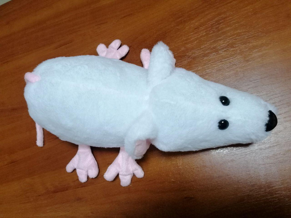 Мягкая игрушка Алина Крыса белая 28 см Киев - изображение 3