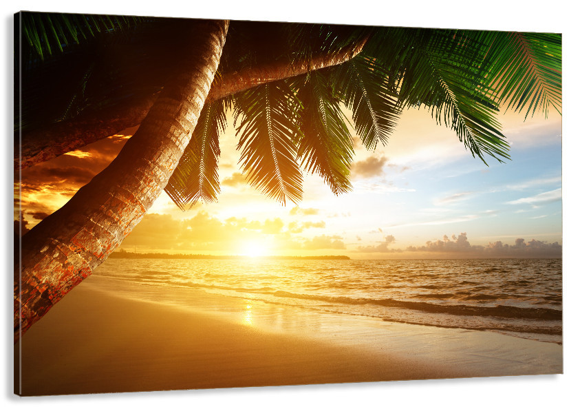 Картина холст у вітальню / спальню Захід сонця    MLP_66 ( 60х30см ) 80x120 см Київ - фото 1