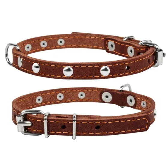 Ошейник CoLLaR одинарный с украшениями (ширина 14мм, длина 27-35см) коричневый Киев