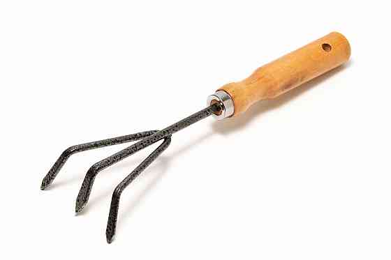 Культиватор садовий MASTERTOOL 250×90 мм з дерев'яною ручкою 14-6190 Коломия