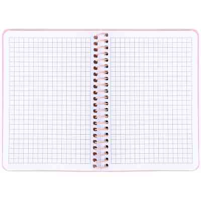Блокнот Axent на спирали B6 80 листов, клетка, пластиковая обложка, розовый (8463-2-A) Винница