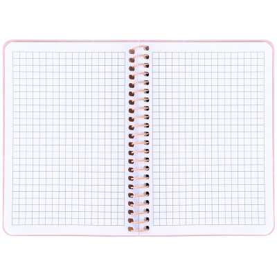 Блокнот Axent на спіралі B6 80 аркушів, клітинка, пластикова обкладинка, рожевий (8463-2-A) Вінниця - фото 3