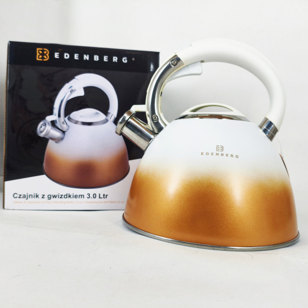 Чайник для приготування напоїв зі свистком, Чайник зі свистком нержавіюча сталь Гарний для плит GB-40 Івано-Франківськ - фото 1