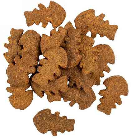 Хрустящие лакомства для здоровья кожи и шерсти собак Сейвори Savory с лососем и бархатцем 200 г Винница