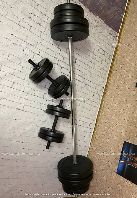 Штанга набірна + гантелі на 90 кг Гантелі, гирі, штанги та диски ударостійкий пластик Київ - фото 9