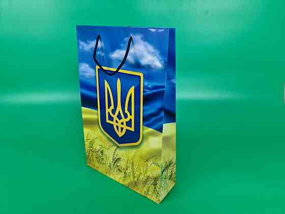 Большой бумажный пакет вертикальный  25/37/8(артBV-189) (12 шт) Харьков