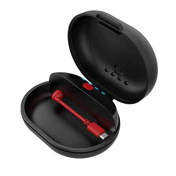 Портативний зарядний кейс dodocool для бездротових навушників (500 мАг, Micro-USB, захисний чохол) Київ