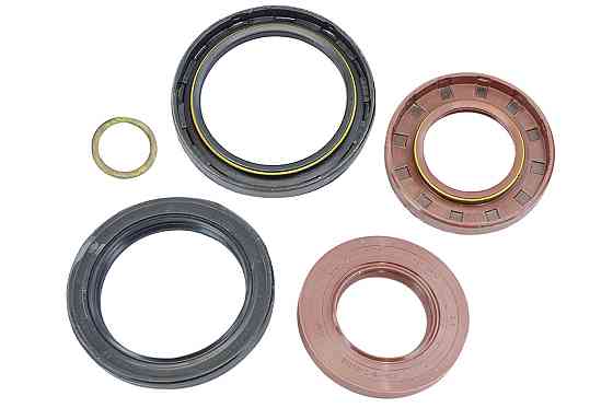 Ремкомплект заднего моста ГАЗ 3302 с сальниками (премиум) старый образец прокладок Мукачево