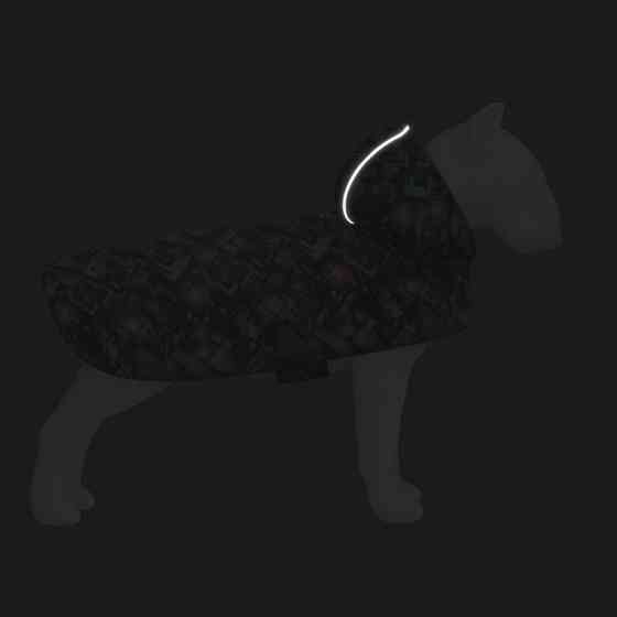 Дощовик-накидка з капюшоном для собак WAUDOG Clothes, малюнок "Нескінченні світи", S, А 32-35 с Коломыя