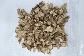 Корінь цикорія (Корень цикория) 100г master sem Киев - изображение 1