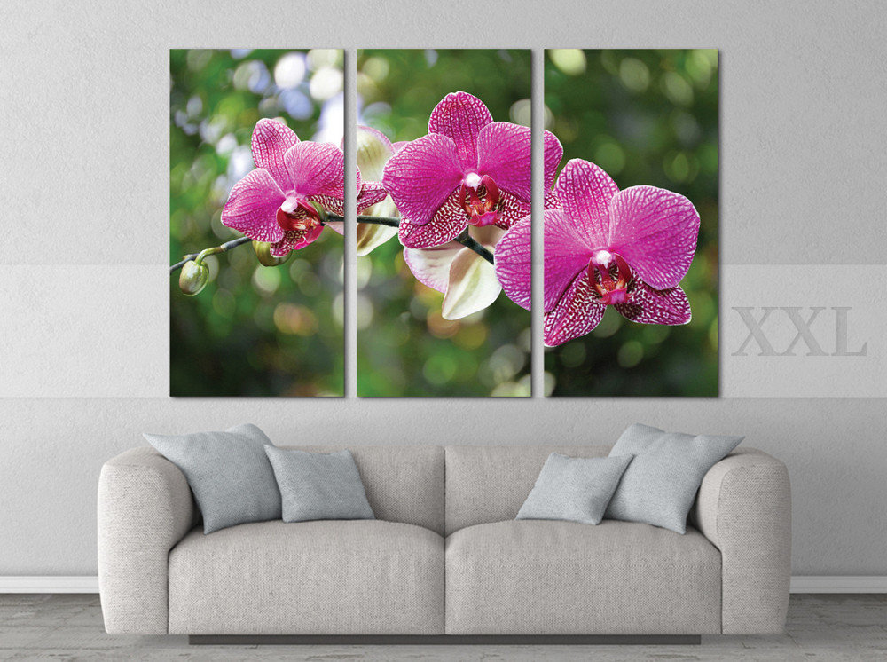 Модульная картина Цветы Орхидея Art-117_XXL Киев - изображение 2