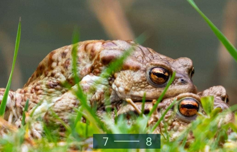 Фотоаппарат Panasonic Lumix DC-FZ82D DC-FZ82DE-K Киев - изображение 2