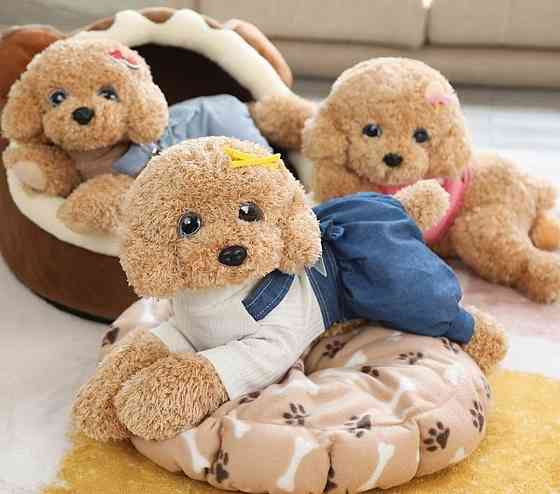 Оригінальний дуже м'який собачка Тедді пудель у розмірі 50 см. Харків