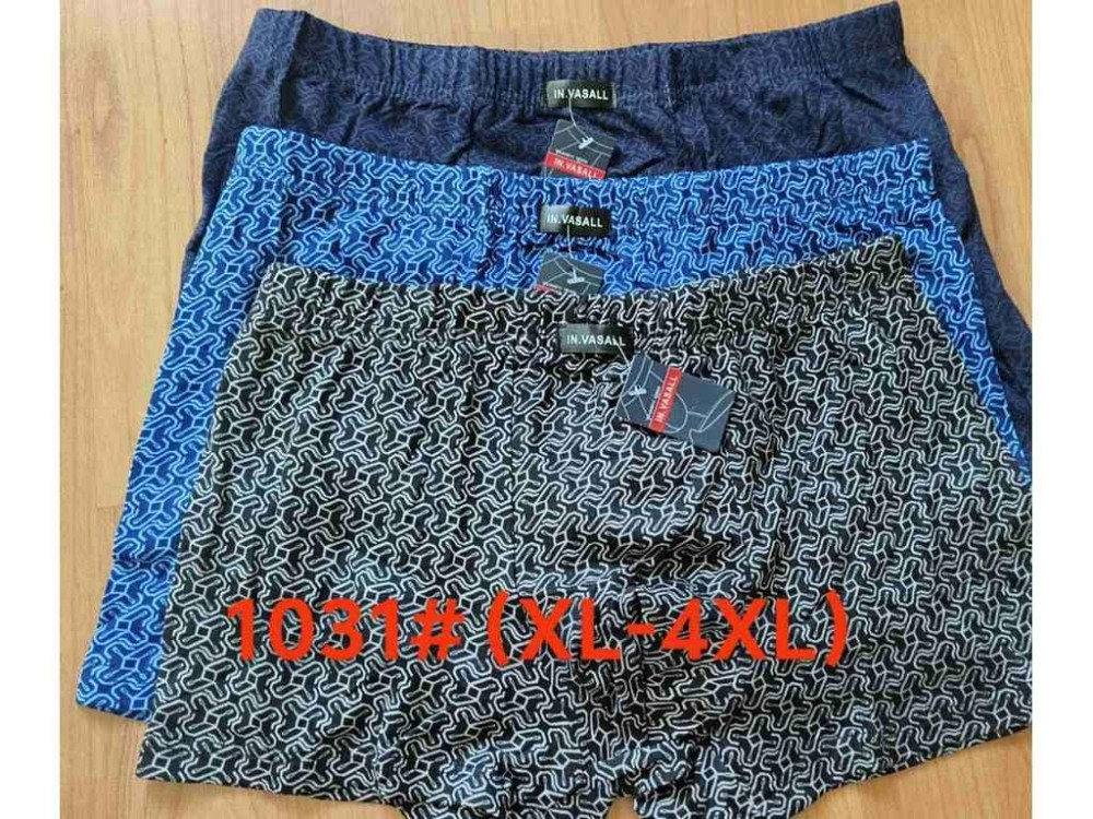 Боксери бамбук арт.1031 2шт р.2XL ТМ VASALL Київ - фото 1
