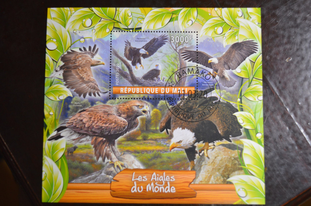 Малі. Марки. Фауна. Блок. 2020 рік (В-1) Полтава - фото 1