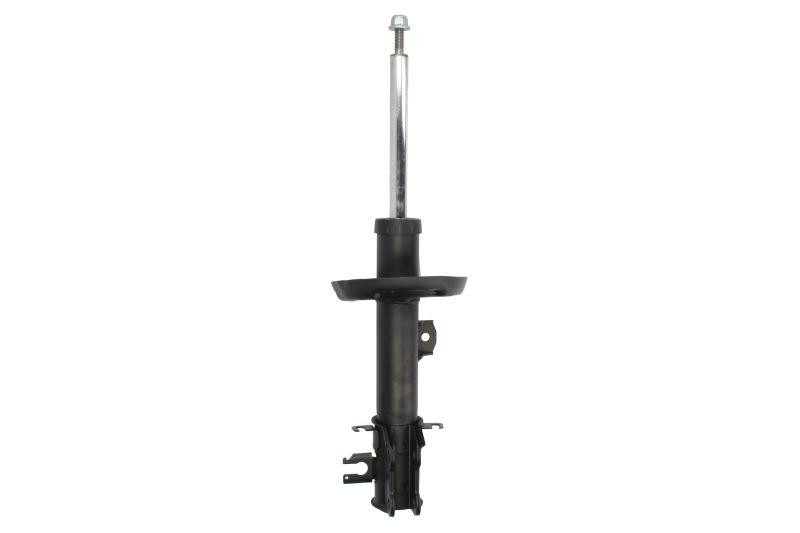 Амортизатор передній правий Raiso (Швеція) Fiat Punto, Фіат Пунто 12- #RS315873 UAQUZJZ22 Ковель - фото 1