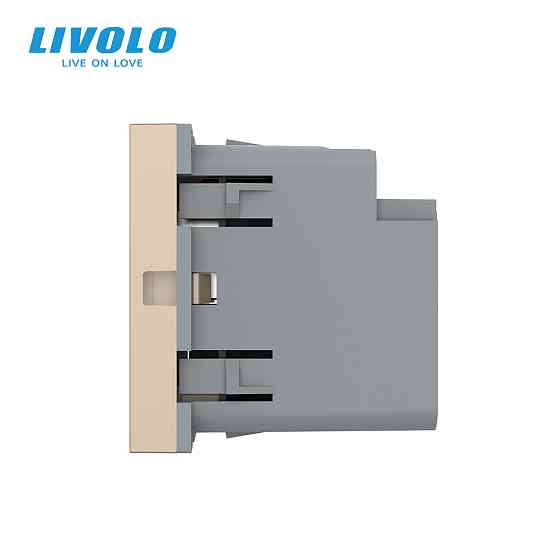 Розетка LIVOLO USB-A + USB-C PD 36Вт, золота, швидке заряджання, Power Delivery QC 3.0, модуль (VL-FCUA18W.UC18W-2AP) Коломыя