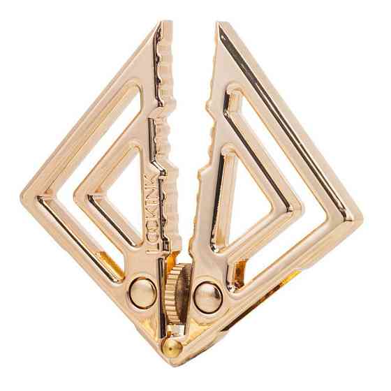 Затискачі для сосків із важкою підвіскою LOCKINK Adjustable Nipple Clamps with Heavy Pendant — Golden Sex Aura Київ