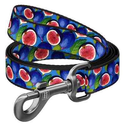 Повідок для собак WAUDOG Nylon "Інжир" M (341-4053) Вінниця