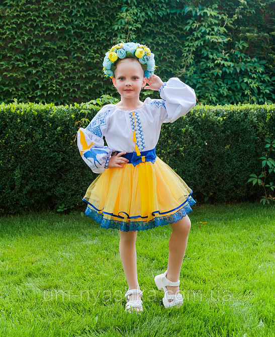 Синьо-жовтий костюм вишиванка "Ластівки-мереживо" Кривий Ріг - фото 10