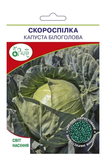 Насіння Капуста рання Скороспілка Київ - фото 1
