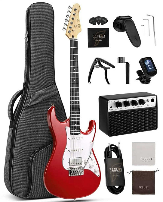 Электрогитара Fesley FST100 (комплект) Харьков - изображение 5