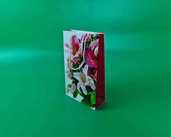 Паперовий пакет подарунковий Середній 17/26/8 (артSV-177) (12 шт.) Харків