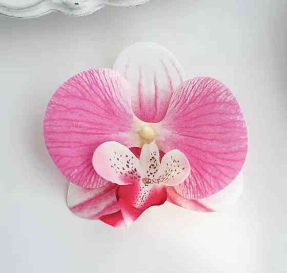 Затискач для волосся Орхідея Рожевий Сміла