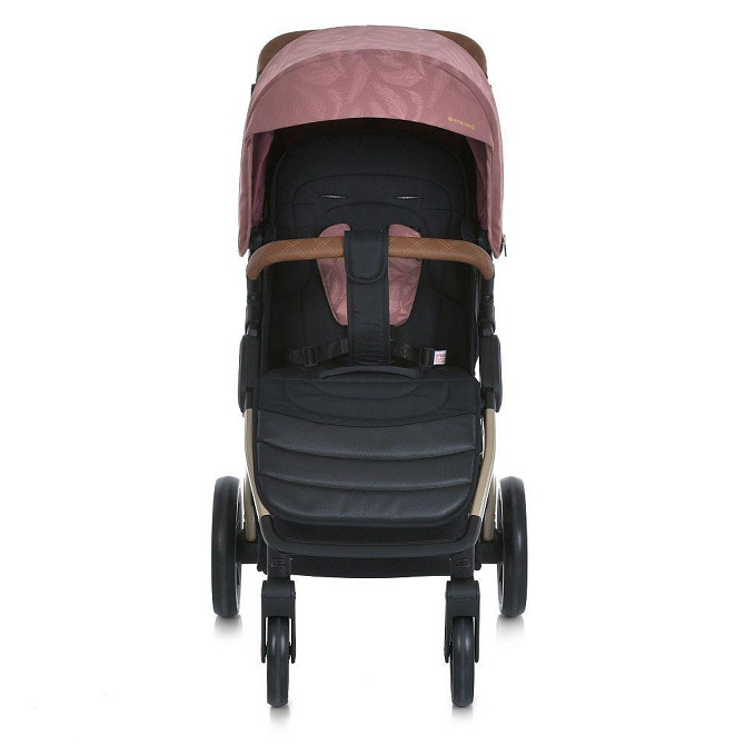 Коляска дитяча EL CAMINO DYNAMIC PRO Special Pink прогулянкова з чохлом та дощовиком Рожева з пір'ячками (ME 1053G-2) Чернігів - фото 2