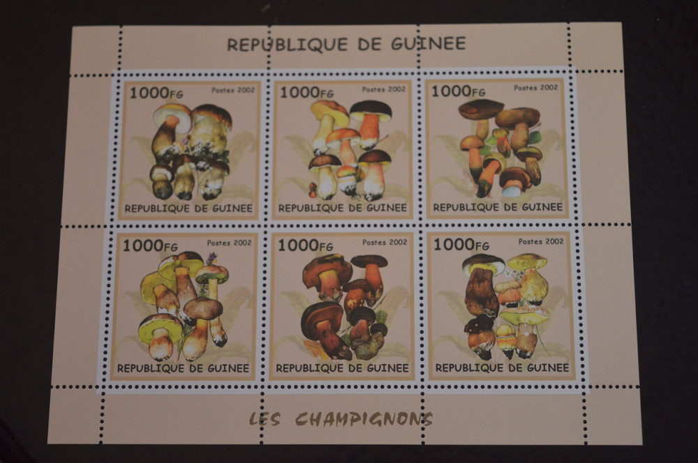 Флора. Гвинея. Блок. 2015 год (В-7) Полтава - изображение 1