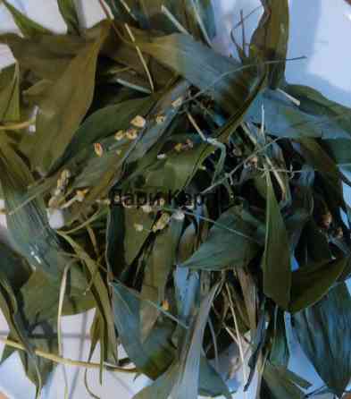 Конвалія (лист), 100г. Київ