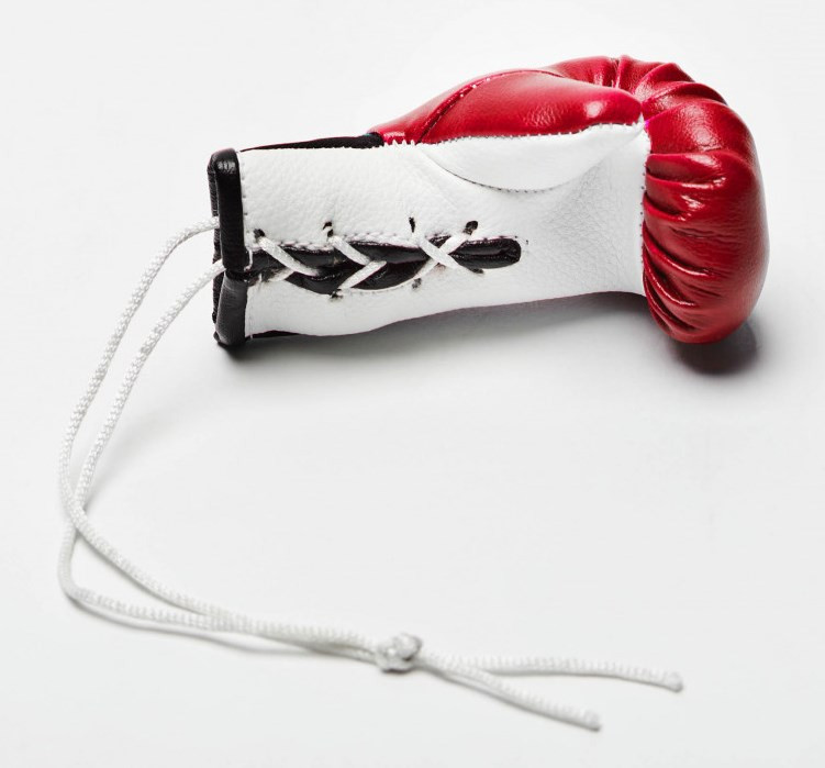 Сувенірна рукавичка Leone Red Кам'янське - фото 3